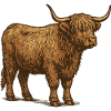 Highlander