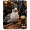 Harbour Bar Cigar Bar Seagull