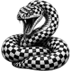 Cobra damier