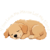 sleeping puppy