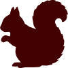 Squirrel Silhouette Forest Adventure