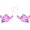 birds_in_love
