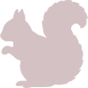 Silhouette d’écureuil rose