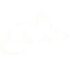 animal souris