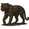 Panther