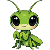 mantis