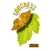 Goodness Butterfly
