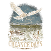Falconry Falkner Creance Days