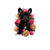 French Bulldog Therapy