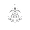 Lunar turtle celestial mandala