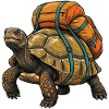 Wanderschildkröte – Outdoor-Abenteuer