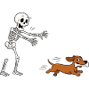 Halloween, teckel, squelette