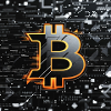 Bitcoin Neon Circuit