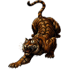 Tiger in the Leap Wild Dynamics
