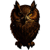 Funny owl