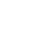 White Splash Pony-Kunst