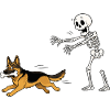 Halloween, German Shepherd, Skeleton