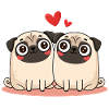 Mopspaar Mops