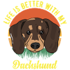 Dackel Wursthund Lilfe besser mit Dackel