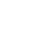 D20