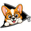 Corgi Dog Zipper