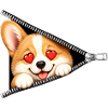 Corgi Hund Reißverschluss