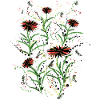Abstract Wildflowers Grunge Illustration