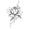 Schwarz-Weiße Lotus-Blumen-Skizze