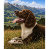 Mountain Landscape Dog Portrait