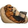 Hunde-Dackel-Laptop-Humor