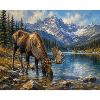 Alpine Moose by Mountain Lake