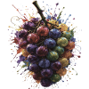 Mehrfarbige Grape Busch-Splash-Art
