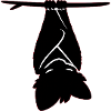 Bat