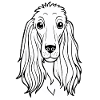 Greyhound (Comic Portrait/ Black & White)