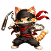 Ninja Katze