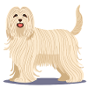 Komondor (comic)