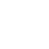 Iguana ink splatter