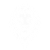 Lion Tribal Tattoo Style