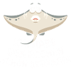Rochen Schon Gebraten Stachelrochen Manta Rochen