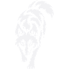 Wolf's silhouette in contrast