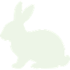 Silhouette délicate du lapin