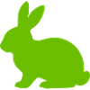 Bright Bunny Silhouette