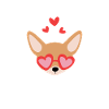 Chihuahua Therapy Dog