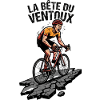 La Bête du Ventoux Grunge Cycling