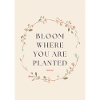 Bloom Where You Are Planted Spruch