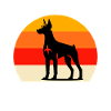 Team Dobermann