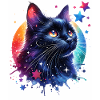Black Cat Motif