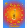 Katzen Sommerglanz