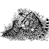 Kämpfende Tiger