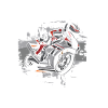 Motorcycling is my second language